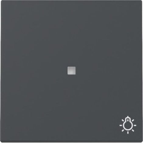 Gira Wippe System 55, mit Kontrollfenster und Symbol Licht, Anthrazit, 367428