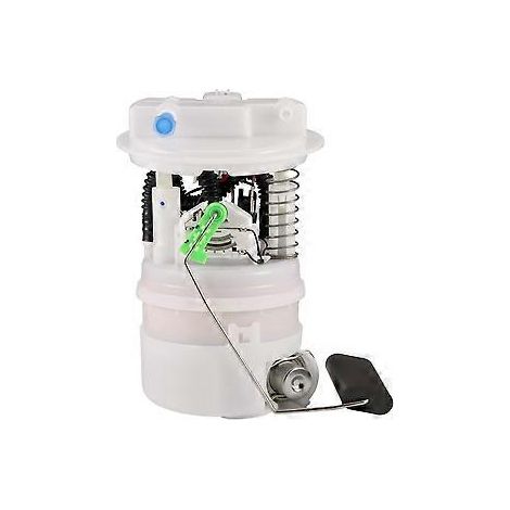 172022047R Elektrische Benzin-Kraftstoffpumpenbaugruppe für Sandero EM1413 705656670 (1/5)