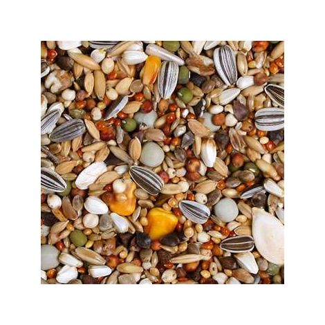 Cibo Jr Farm per Amazzoni, Pappagalli Grigi e altri grandi pappagalli arricchito con gusci di ostriche 1 kg (1/3)