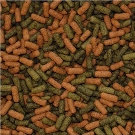Bastoncini grandi per ciclidi tropicali ROSSI e verdi 250ML/75G (1/2)