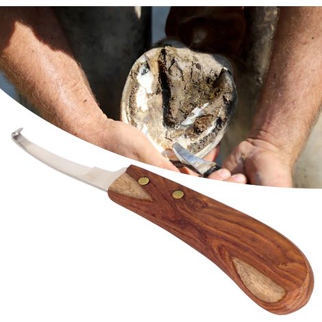 Couteau à parer les sabots à lame étroite, spécialement conçu pour l'élevage, pour bovins et chevaux. (1/5)