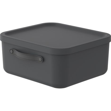Rotho Aufbewahrungsbox Mythen mit Deckel 39,5 x 38 cm 20 L schwarz