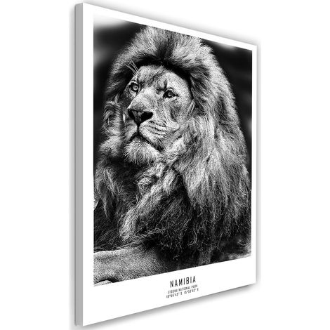 Cadre déco Afrique lions animaux 40x60 (1/5)