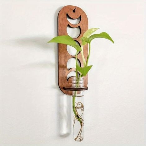 Vase tube à essai mural avec plaque arrière géométrique – 1 tube propagateur de plantes pour plantes pothos Station de propagation d'eau moderne pour décoration d'intérieur (1/5)
