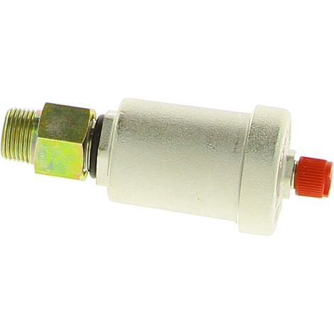 Purgeur automatique 3/8'' 10b - CHAPPEE : SRN541855 (1/2)