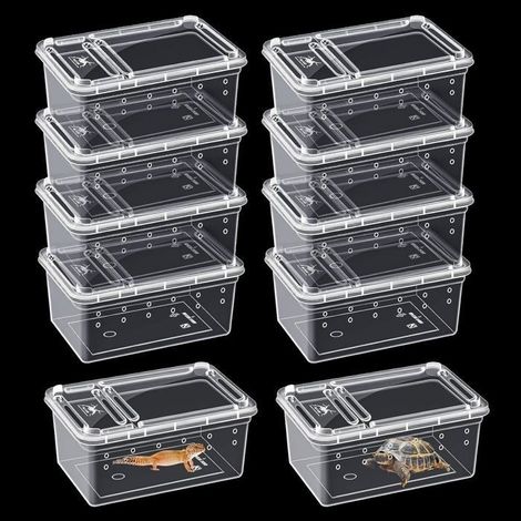 10 pièces Boîte d'alimentation pour reptiles, cage d'habitat animal transparent pour araignées, terrarium pour reptiles (1/5)