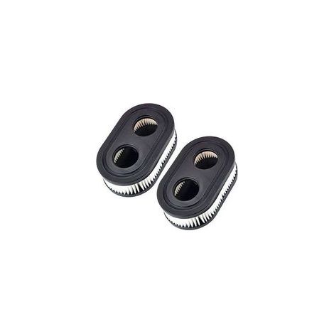 Filtri dell'aria per tosaerba Briggs & Stratton 798452 593260 5432 5432K, A (1/5)