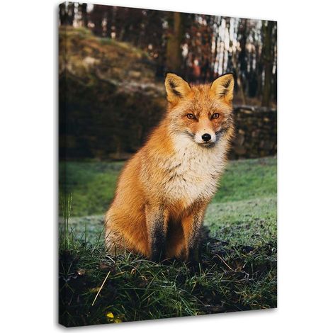 Tableau sur toile Renard Forêt Nature Animaux 40x60 (1/5)