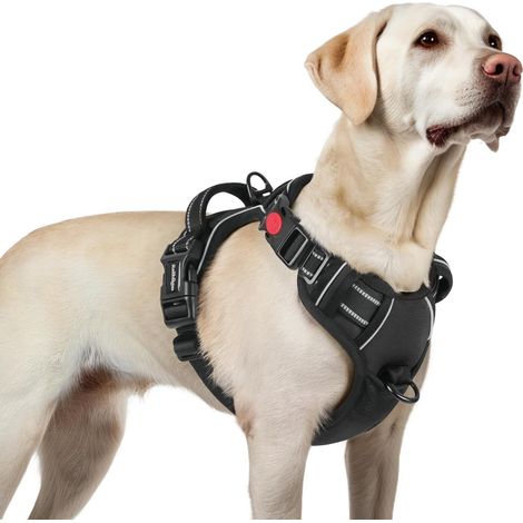 Dog Harness with 3 Buckles, Easy to Put On and Remove, Anti Pull (1/5)