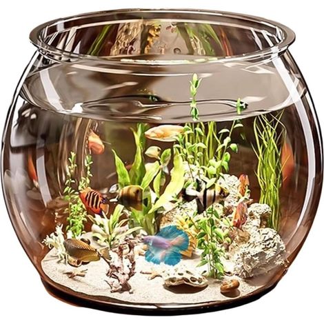 1x Bocal Poisson, Verre Transparent, 6L, Avec Pompe à oxygène, Pour Bureau ou Salon