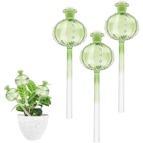 Lot de 3 globes d'arrosage en verre – Distributeur d'eau pour plantes d'intérieur – Hydratation automatique jusqu'à 3 semaines