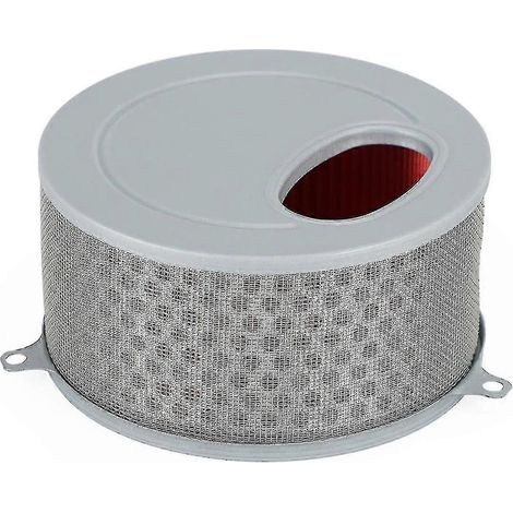 Filtre à air de rechange pour moto Daelim VL125 - Pièce d'origine 17213-BA1-00001 (1/5)
