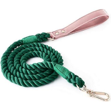 Tresse laisse chien dégradé couleur, corde traction chat, laisse promenade animal 120cm12mm vert foncé. (1/4)