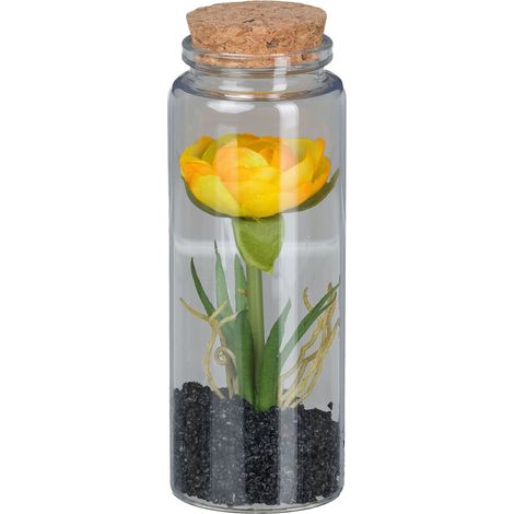 GASPER Ranunkel im Glas mit Deckel 12,5 cm gelb