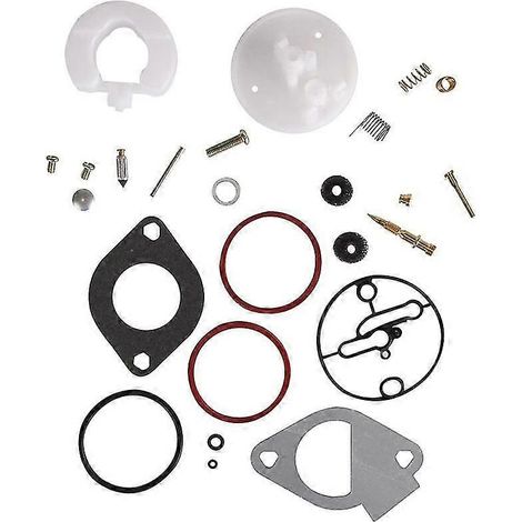 Kit di riparazione carburatore per tosaerba kit di revisione carburatore 796184 per motori Briggs-Stratton da 11-19 CV (revisione completa). (1/5)