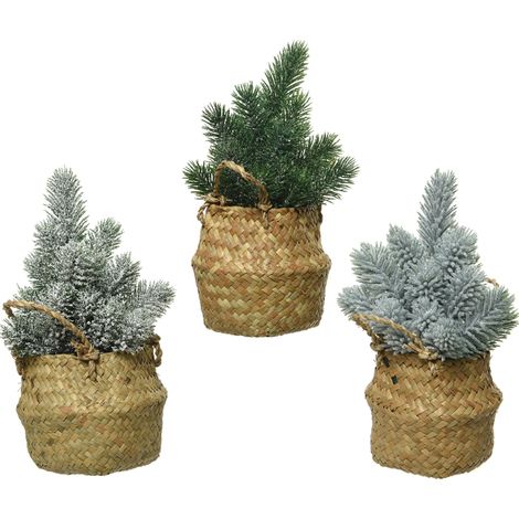 Assortierte Mini-Bäume H 24 cm