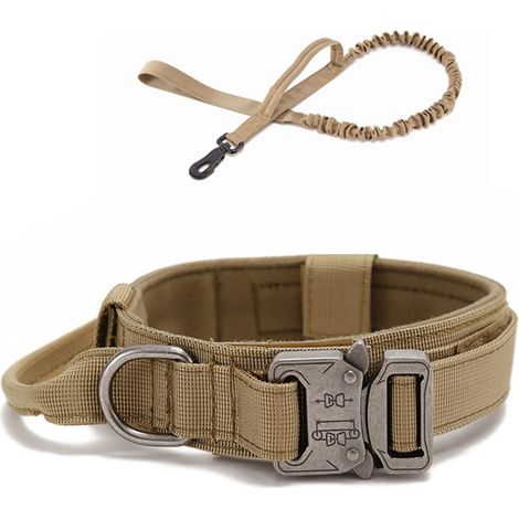 Collier Pour Chien - Laisse Élastique 135 Cm - Pour Dressage Extérieur - Ensemble 2 Pièces (1/5)