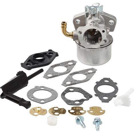 Carburateur compatible avec la plupart des moteurs Briggs & Stratton 798654 792970 150000 (1/4)