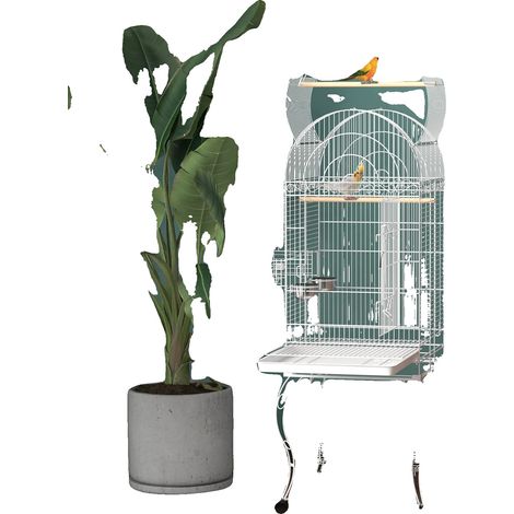 Cage à oiseaux, 51 cm x 51 cm x 153 cm, Matériau en acier inoxydable, Convient aux petits perroquets, Plateau amovible, Support roulant (1/5)
