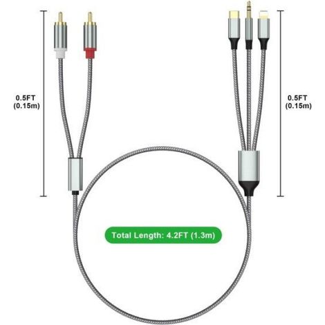 Cable Audio - USB-C Lightning 3,5 Mm Vers RCA - Pour Home Cinema Auto Enceintes - 1,3 M (1/5)