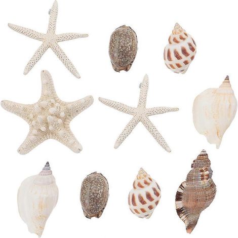 Lot de 10 aimants de réfrigérateur en forme de coquillage, thème océan 3D (style aléatoire)-3X9.5X9.5CM-Random Color (1/2)