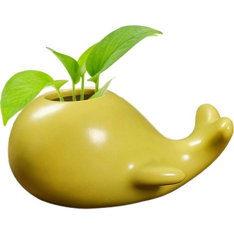 Jardinage Hydroponique Pot Céramique Petit Whale Décoratif avec Caisse en Bois pour Bureau, Salon (Whale [Vert]) (1/2)