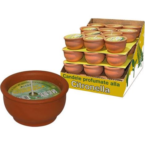 Ceri citronella Big Bon in vaso di Coccio Conf. 44 Pz