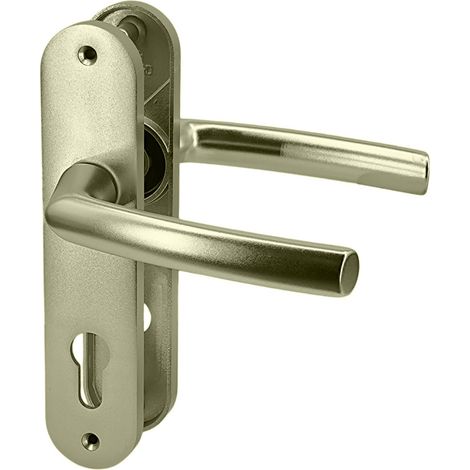 Paire de poignées de porte intérieur sur plaques aluminium blindé 190 mm cylindre Bricard Osmose (1/5)