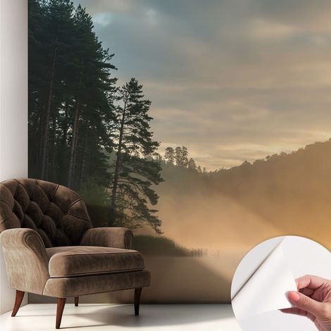 Tapete adhésive moderne pour salon et chambre à coucher Décoration rapide avec colle Matin brumeux 250x250 cm (1/5)