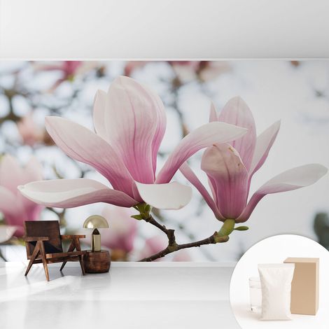 Papier peint intissé mural classique avec imprimé motifs décoratifs design élégant non‑tissé Fleurs de magnolia 416x254 cm (1/5)