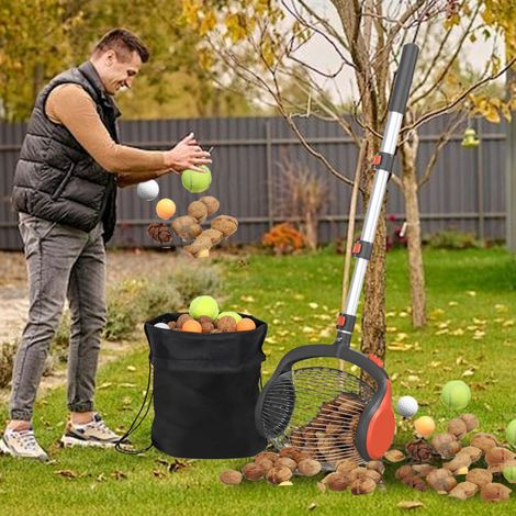 Ramasseur de Noix et Châtaignes Ajustable Multifonction pour Jardin - Outil de Collecte Facile à Utiliser -KZQ (1/5)