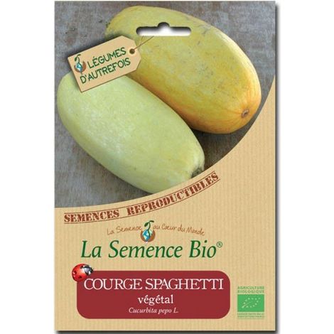 Graines Bio - Courge spaghetti végétal - Semence biologique