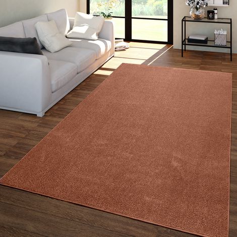 Tapis de salon à poils courts, uni, design moderne et intemporel 60 cm x 100 cm x 12 mm, Marron, Rectangulaire