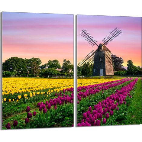 Placa protectora de vidrio para la estufa 2x30x52 Łąka (1/5)