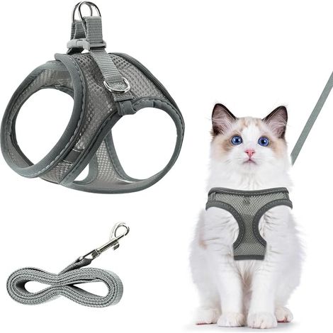 Harnais chat Réglable avec laisse chat gris (1/4)