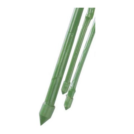 CANNA BAMBO IN PLASTICA CM.210 D.16-18