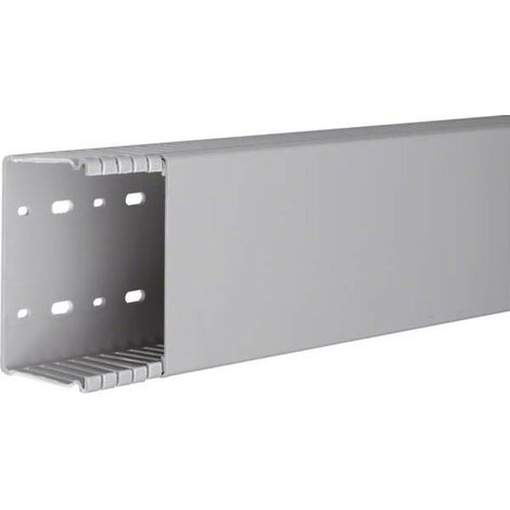 Tehalit Verdrahtungskanal BA6 60100B gr 2 Stk
