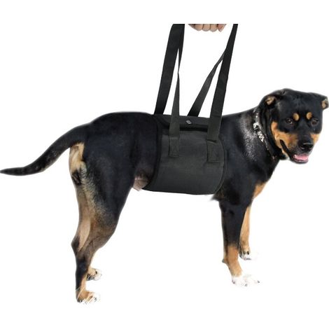Filiyano-Harnais de levage noir en forme de L pour chiens âgés ou handicapés - La sangle de soutien dorsal aide les pattes faibles à se lever, marcher (1/5)