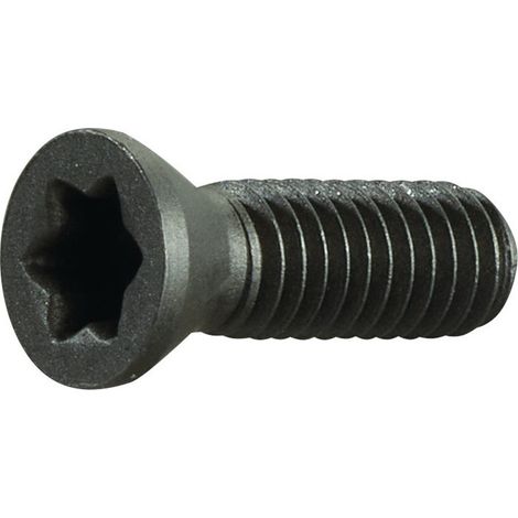 Tornillo de sujeción M3.5 rosca-L.10mm para sujeción del soporte del torno SE R / SI L PROMAT (Por 2)