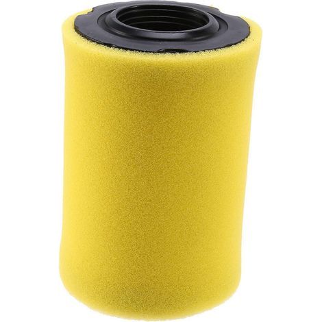 796031 Air Filter For And Stratton With Pre Filter-- (1/5)