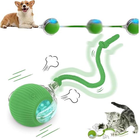 Balle interactive pour chat et chien – Balle intelligente roulante à 360° avec queue, balle auto-mobile rechargeable par USB, jouet électrique automatique pour chats et chiens (1/5)