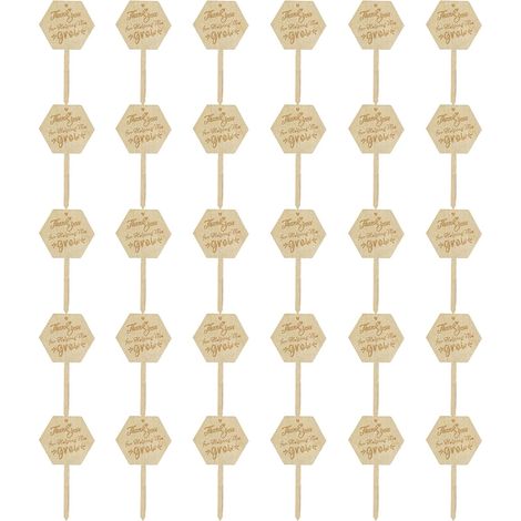 30 étiquettes en bois pour plantes, marqueurs créatifs pour semis avec de jolis personnages, étiquettes à remplir avec le nom des plantes (1/5)