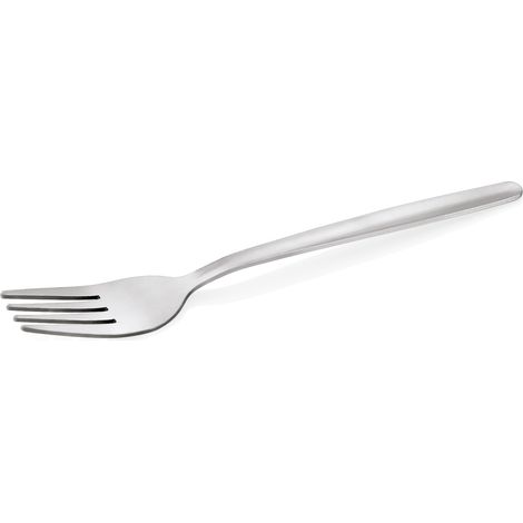 Lot de 12 Fourchettes à dîner NP80 en Acier Chrome L 190 mm - Was Germany