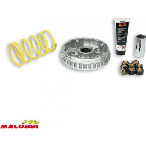 malossi variator für roller mbk 250 skycruiser nach 2006 5111225