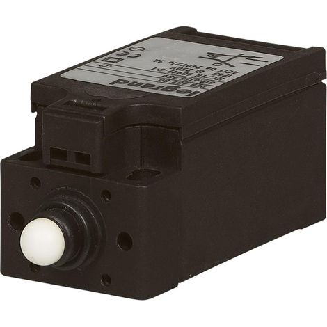 Legrand 047628 Contact de porte - pour armoire Altis - 6 A - 250 V - 1 contact NO + 1 NF (1/3)