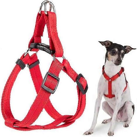 Filiyano-Harnais pour chien à enfiler, harnais pour chien de petite, moyenne et grande taille, harnais-gilet réglable pour animaux de compagnie (1/5)