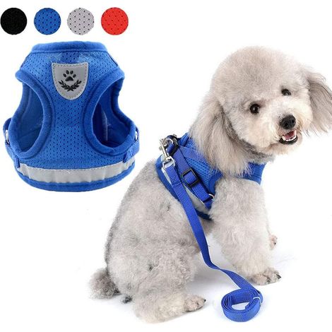 MINKUROW Pettorina Per Gattino Con Guinzaglio Regolabile Antifuga Con Strisce Riflettenti Imbracatura Per Cucciolo Cani Di Piccola Taglia Chihuahua Gilet Gatti Traspirante Passeggiate All'aperto (M, B (1/5)