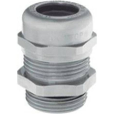 Lapp SKINTOP® MS-M ATEX pressacavo durevole in ottone (1/2)