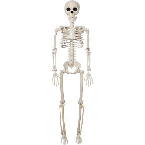Deko komplettes bewegliches Skelett Halloween Knochenfigur