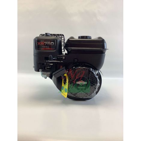 Kompletter Einzylindermotor BRIGGS & STRATTON 163cc 5Hp mit horizontaler Welle (1/4)